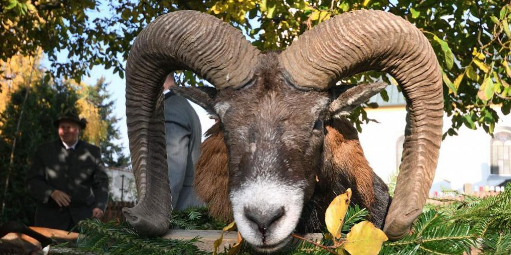 Myslivecká slavnost