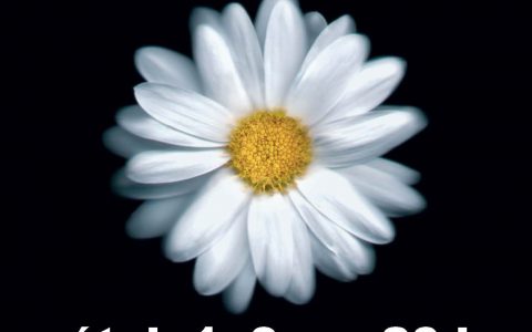 VLASTA REDL s kapelou