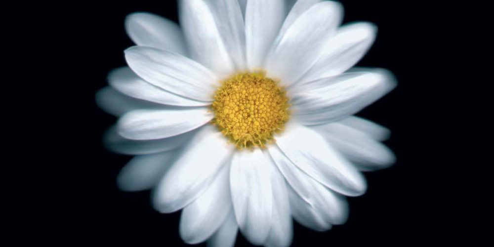 VLASTA REDL s kapelou