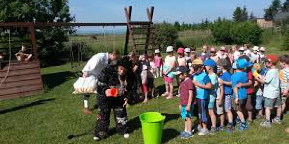 Dětský den a kácení máje – 3.6.2017 Přáslavice