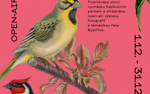 VÝSTAVA – PTACTVO