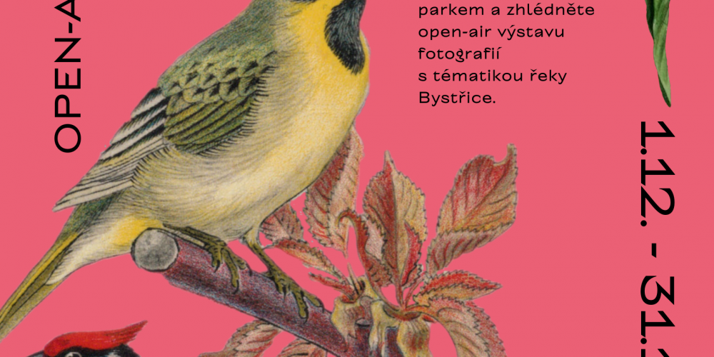 VÝSTAVA – PTACTVO