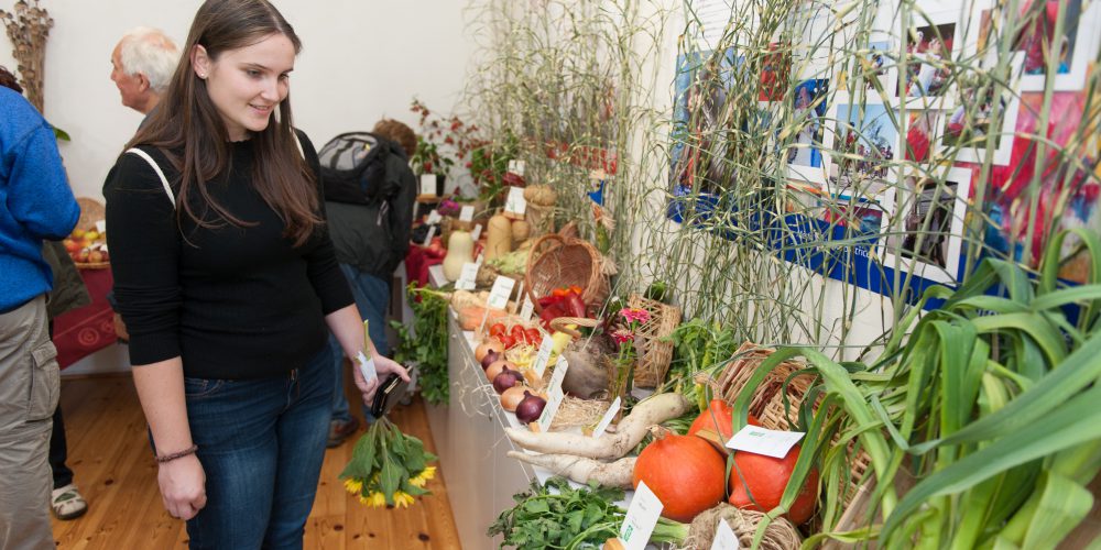 Podzimní výstava květin, ovoce a zeleniny