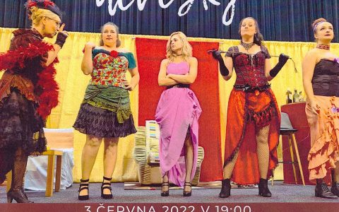 DIVADELNÍ PŘEDSTAVENÍ