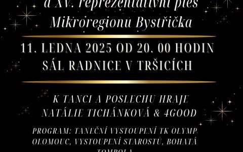 OBECNÍ PLES A XV. REPREZENTAČNÍ PLES MIKROREGIONU BYSTŘIČKA