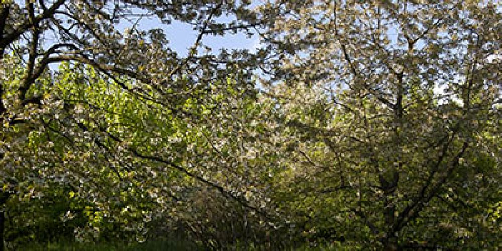 Pozvánka na 1. ročník turistického pochodu a cykloturistiky