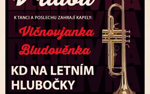 DECHOVKA V ÚDOLÍ