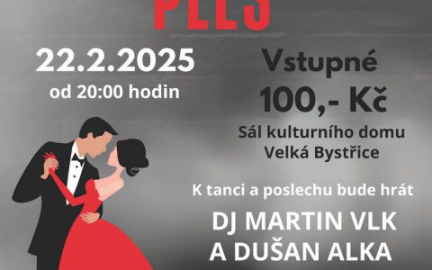 ŠKOLNÍ PLES