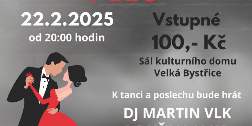 ŠKOLNÍ PLES