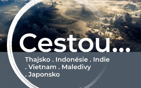 CESTOU ….
