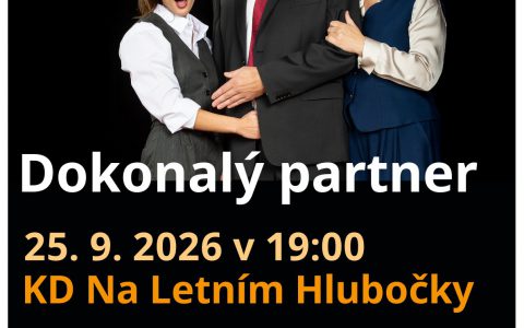 DOKONALÝ PARTNER