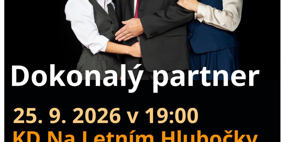 DOKONALÝ PARTNER